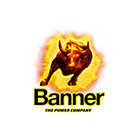 Banner Group